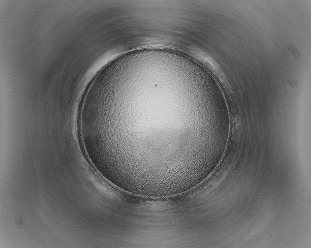 X0000112781427200908271654