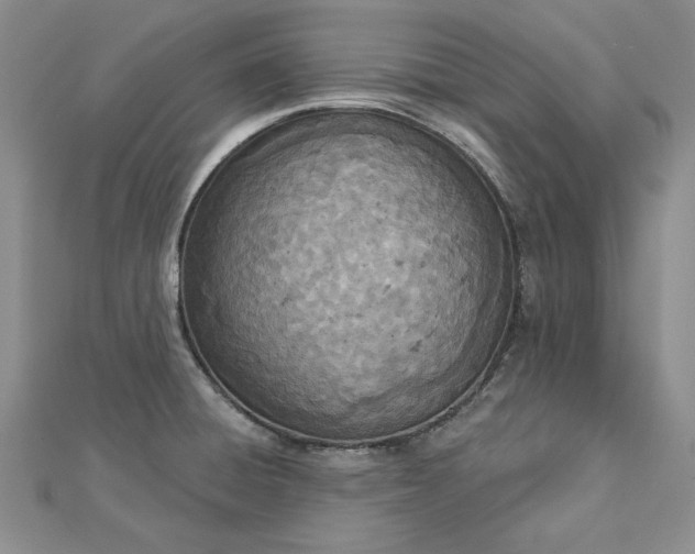 X0000112781428200908271654