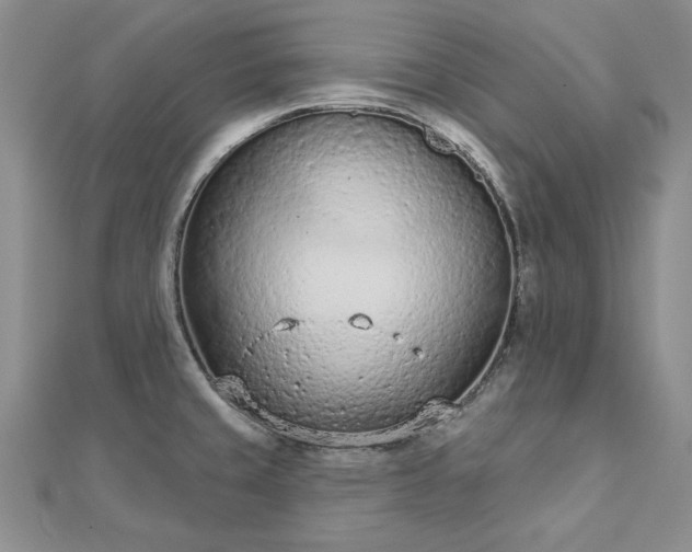 X0000112781429200908271654