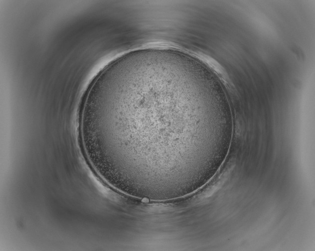 X0000112781430200908271654