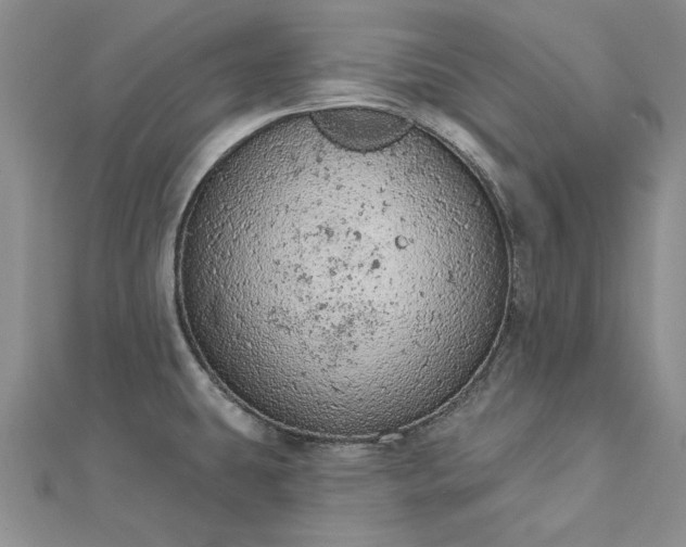 X0000112781431200908271654