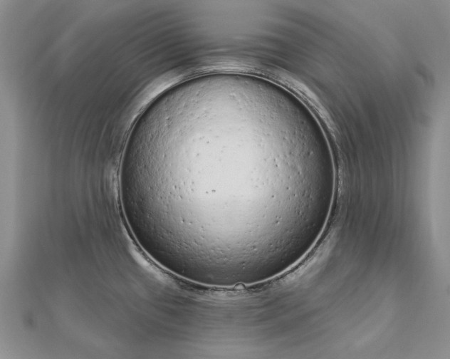 X0000112781433200908271654