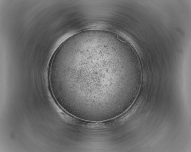 X0000112781434200908271654