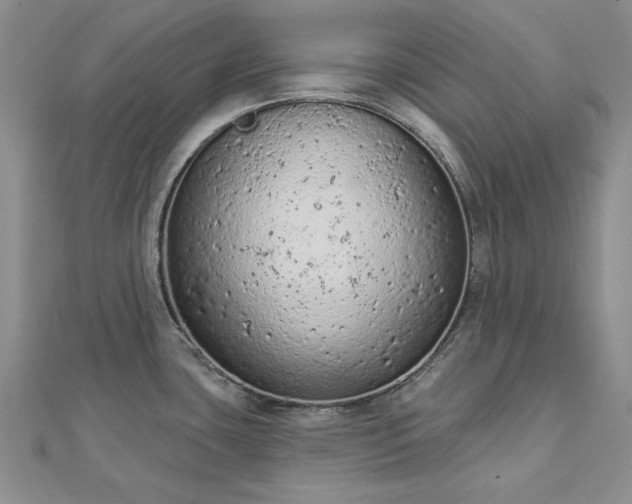 X0000112781435200908271654