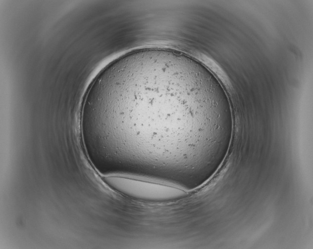 X0000112781436200908271654