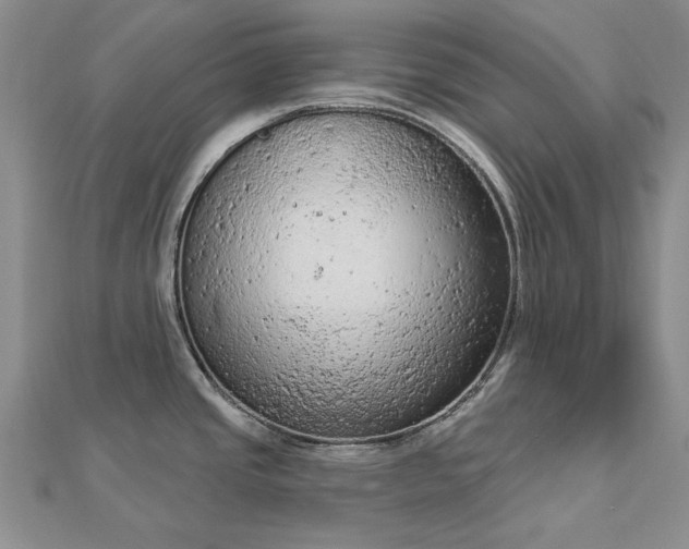 X0000112781437200908271654