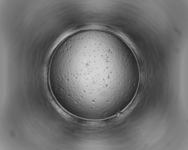 X0000112781438200908271654