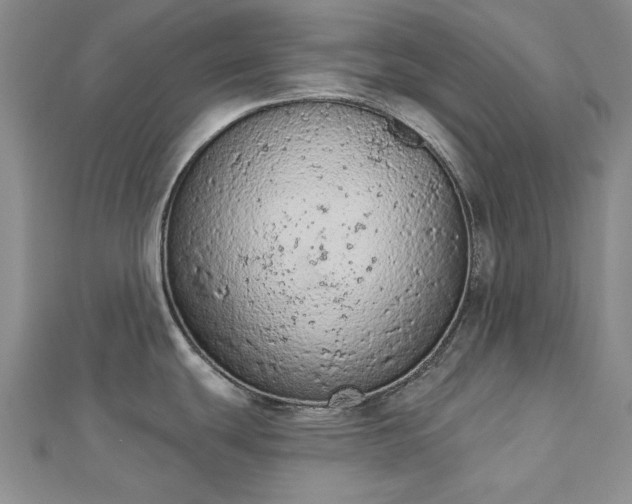 X0000112781439200908271654