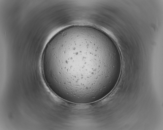 X0000112781440200908271654