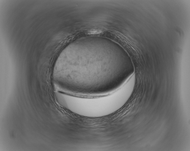 X0000112781441200908271653