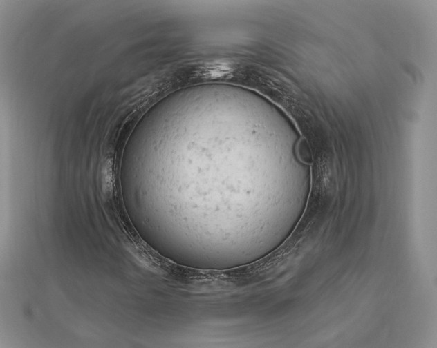 X0000112781442200908271653