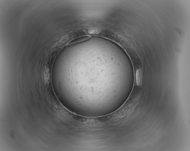 X0000112781443200908271653