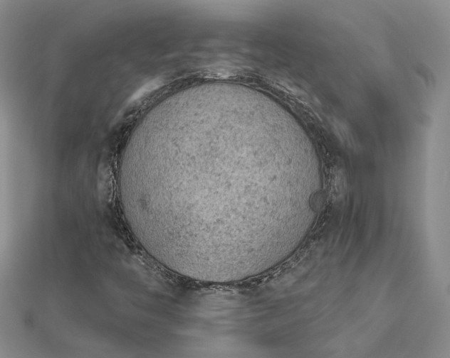 X0000112781446200908271653