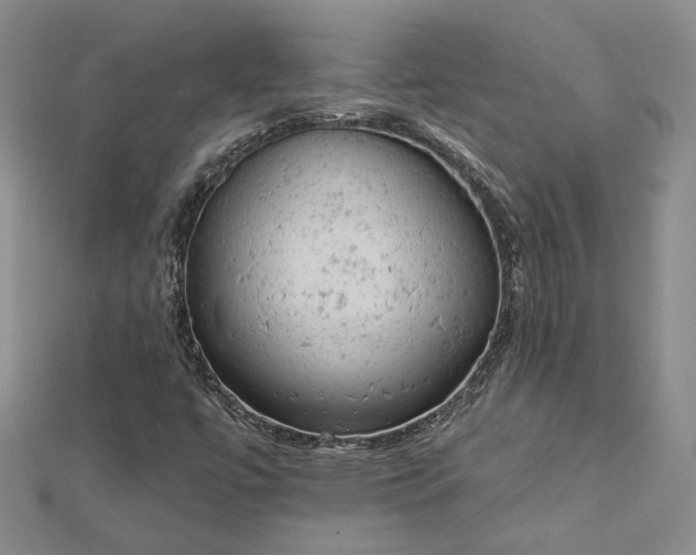 X0000112781447200908271653