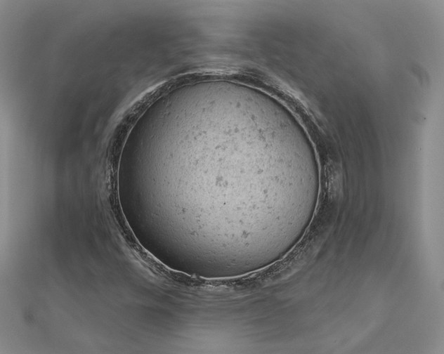 X0000112781448200908271653