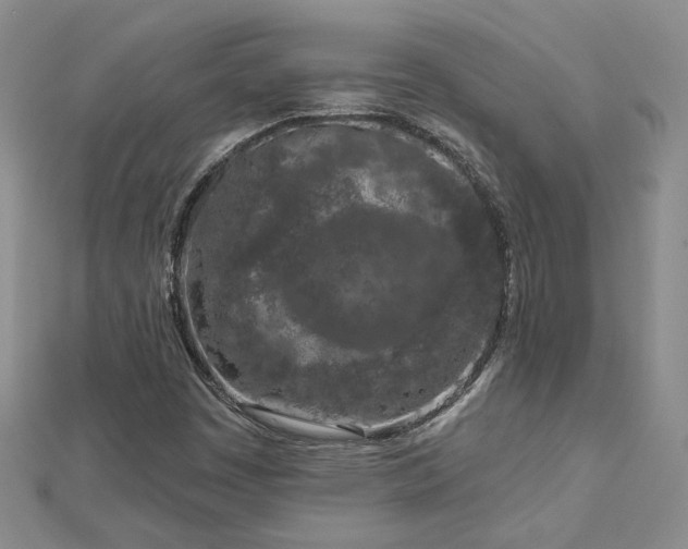 X0000112781449200908271653