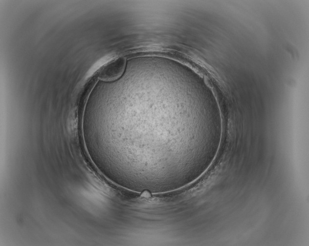 X0000112781450200908271653