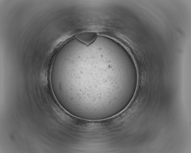 X0000112781451200908271653