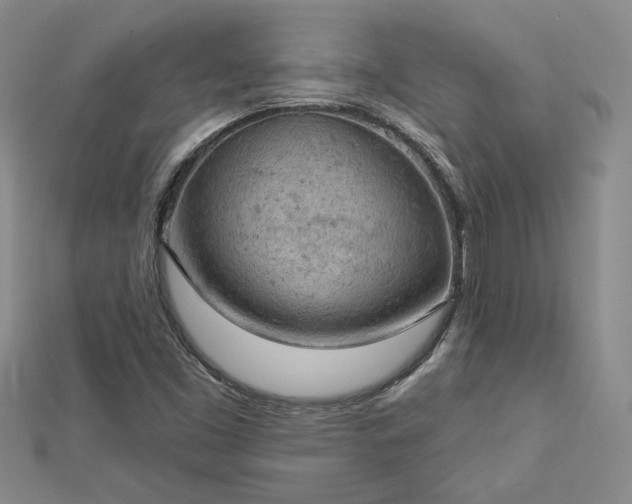 X0000112781453200908271653