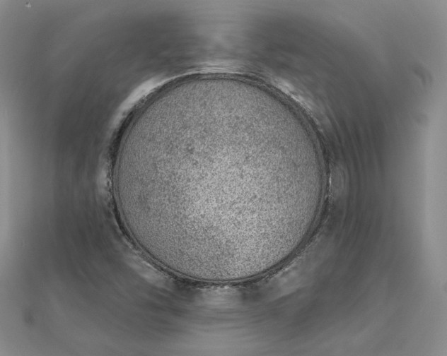 X0000112781454200908271653