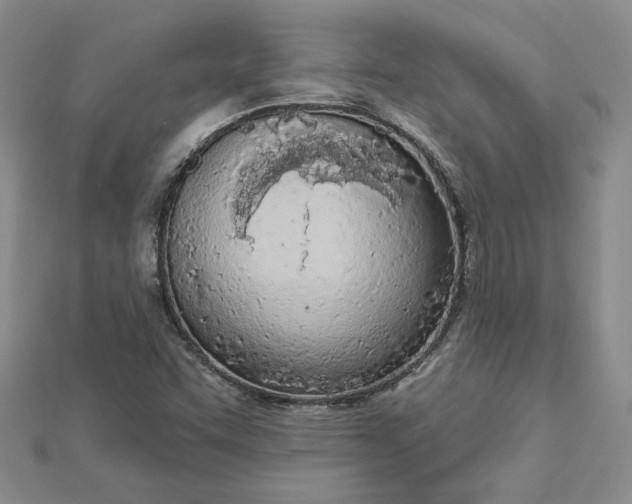 X0000112781455200908271653