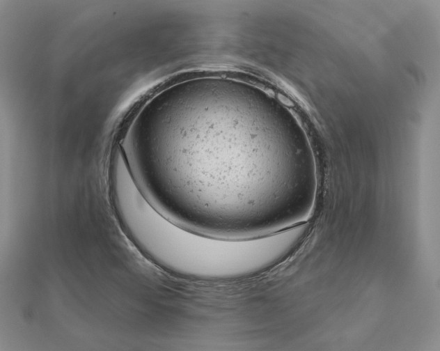 X0000112781456200908271653