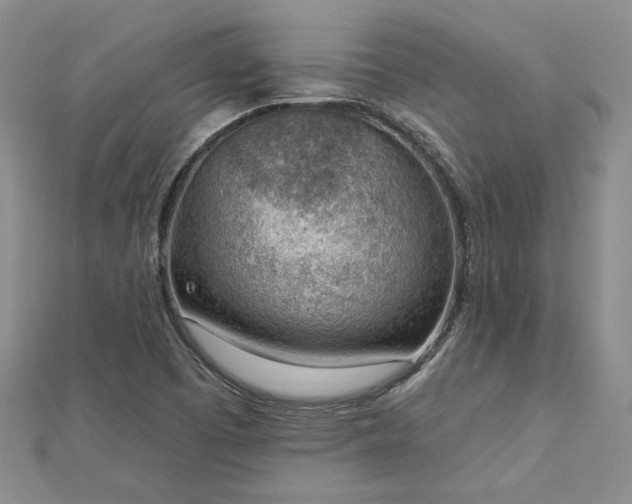 X0000112781457200908271653