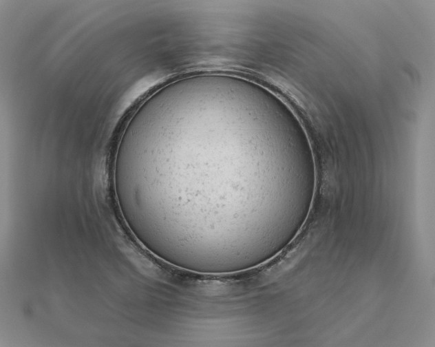 X0000112781458200908271653