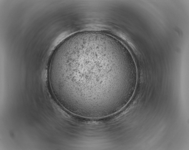 X0000112781459200908271653