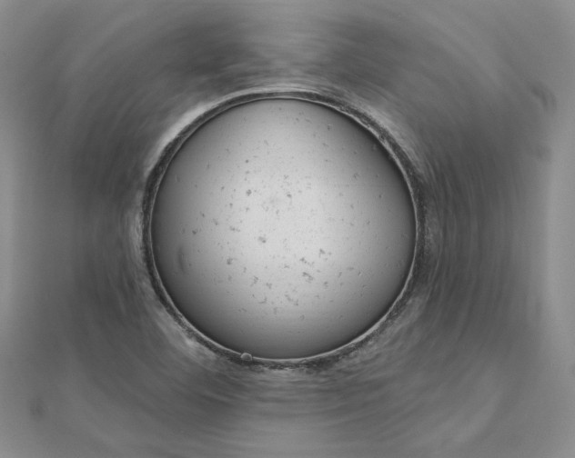 X0000112781460200908271653