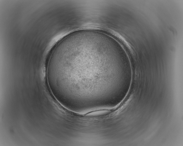 X0000112781461200908271653