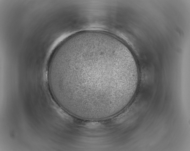 X0000112781462200908271653