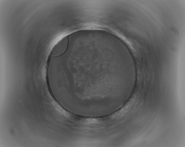 X0000112781463200908271653