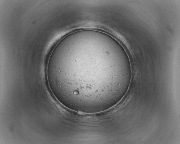 X0000112781464200908271653