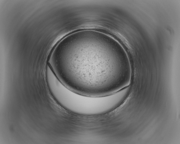 X0000112781465200908271653