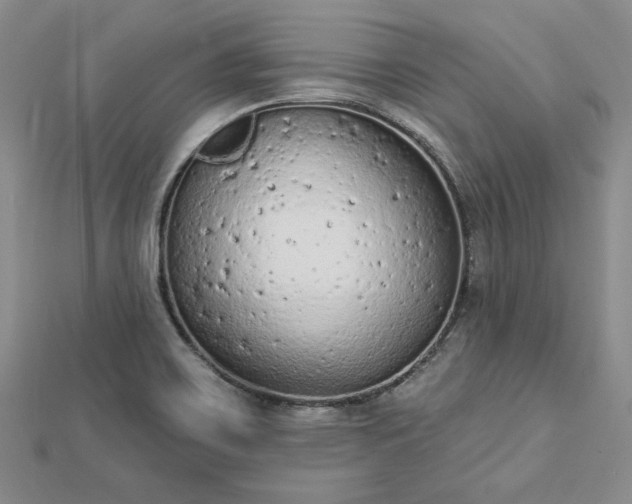 X0000112781467200908271653