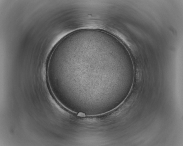 X0000112781468200908271653