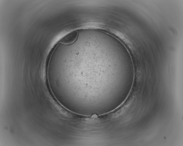 X0000112781469200908271653