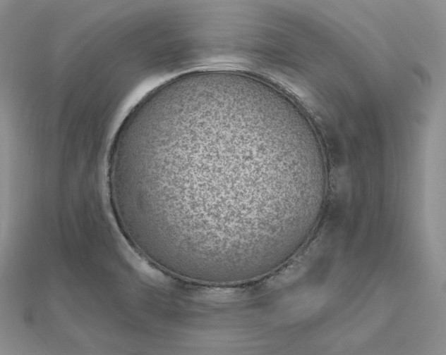 X0000112781470200908271653