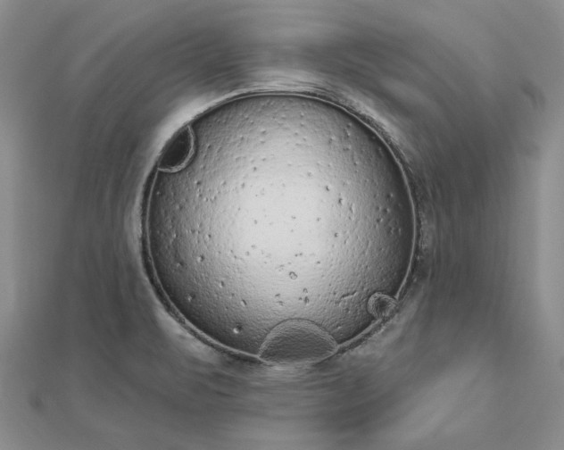 X0000112781471200908271653