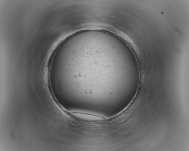 X0000112781472200908271653