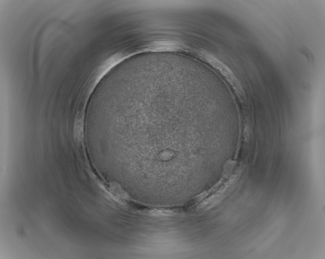 X0000112781473200908271653