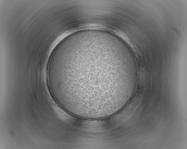 X0000112781474200908271653