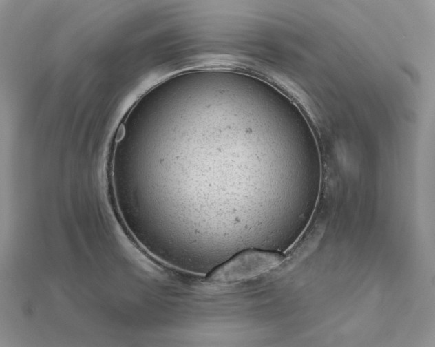 X0000112781475200908271653