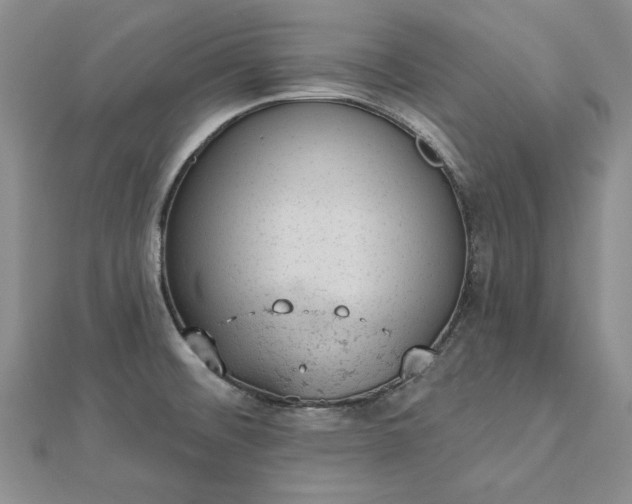 X0000112781476200908271653