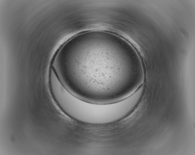 X0000112781477200908271653