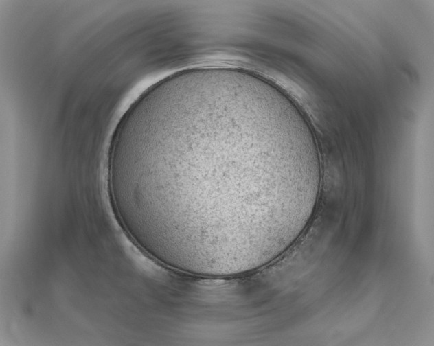 X0000112781478200908271652