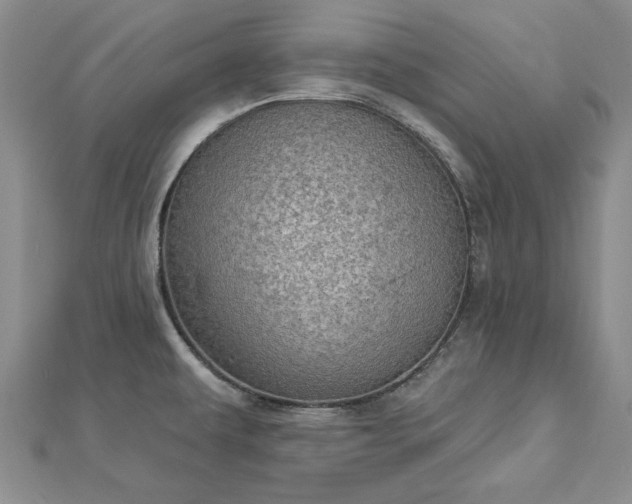 X0000112781479200908271652