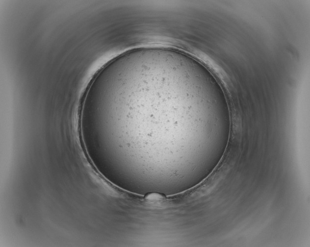 X0000112781480200908271652