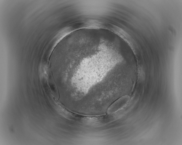 X0000112781481200908271652